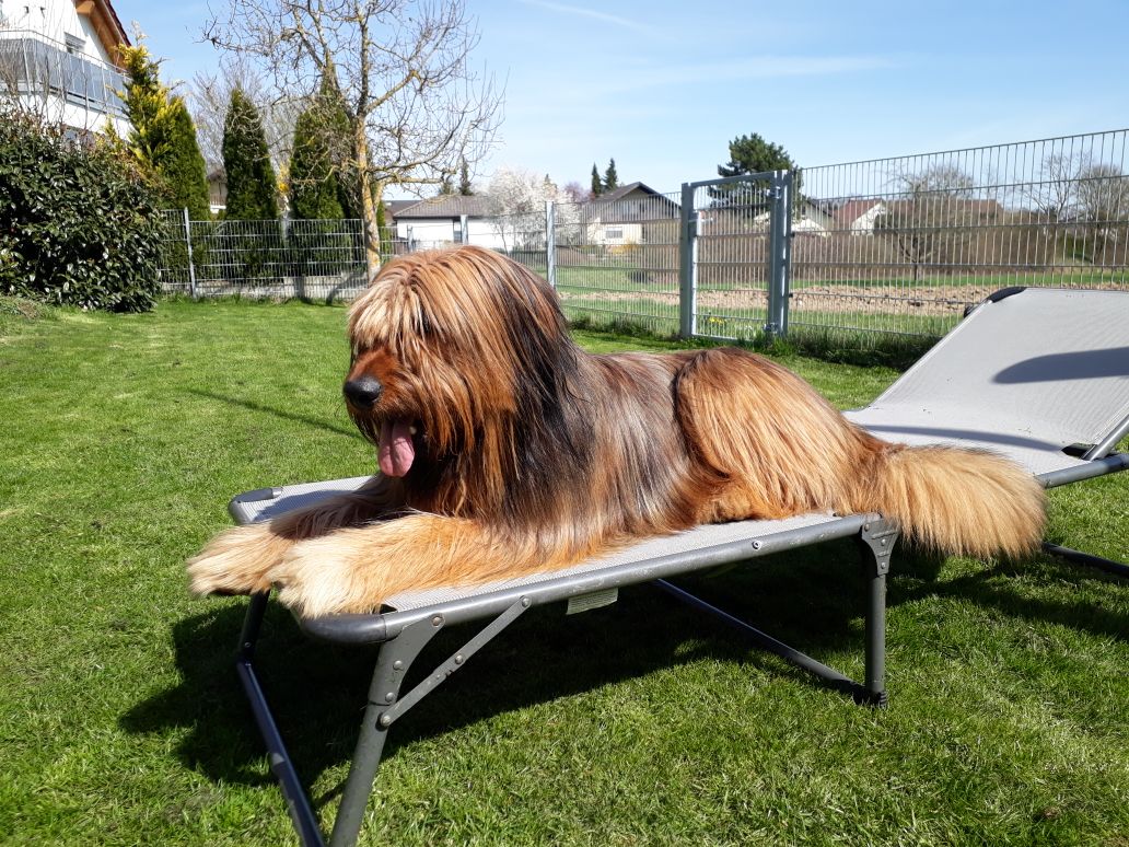 Wäller von der Straubenhalde